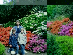 bloemenweelde in het Arboretum