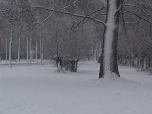 Winterlandschap